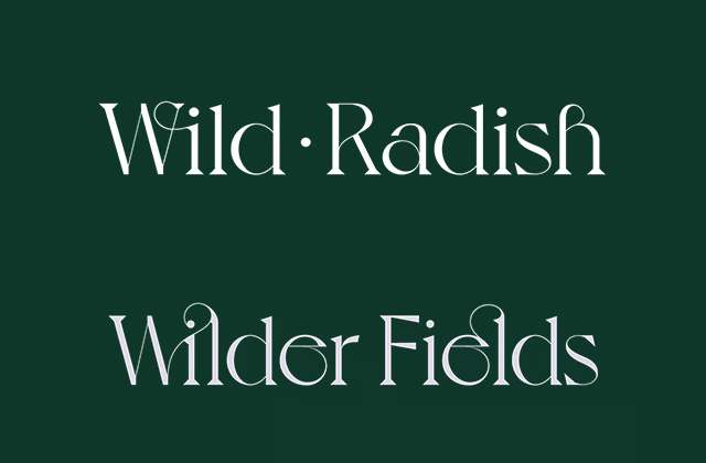 撞车！Wild Radish与Wilder Fields品牌logo设计，都选用了Voyage字体